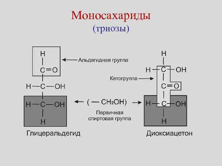 Образование двух триоз. Триозы примеры. Фермент гликолиза альдолаза относится к классу. Ферментативное расщепление глюкозы. Триозы строение.