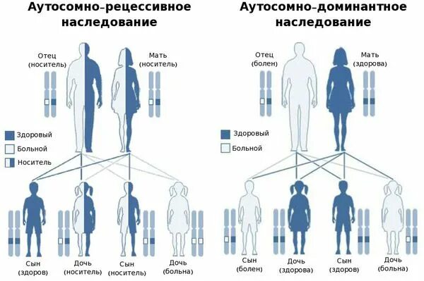 Болезни по наследству какие. Аутосомно-доминантный Тип наследования схема. Аутосомно-доминантный и аутосомно-рецессивный типы наследования. Аутосомно доминантный и рецессивный типы наследования. Аутосомно-рецессивное наследование схема.