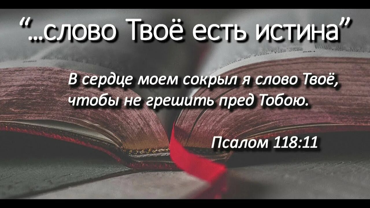 Приму твои слова