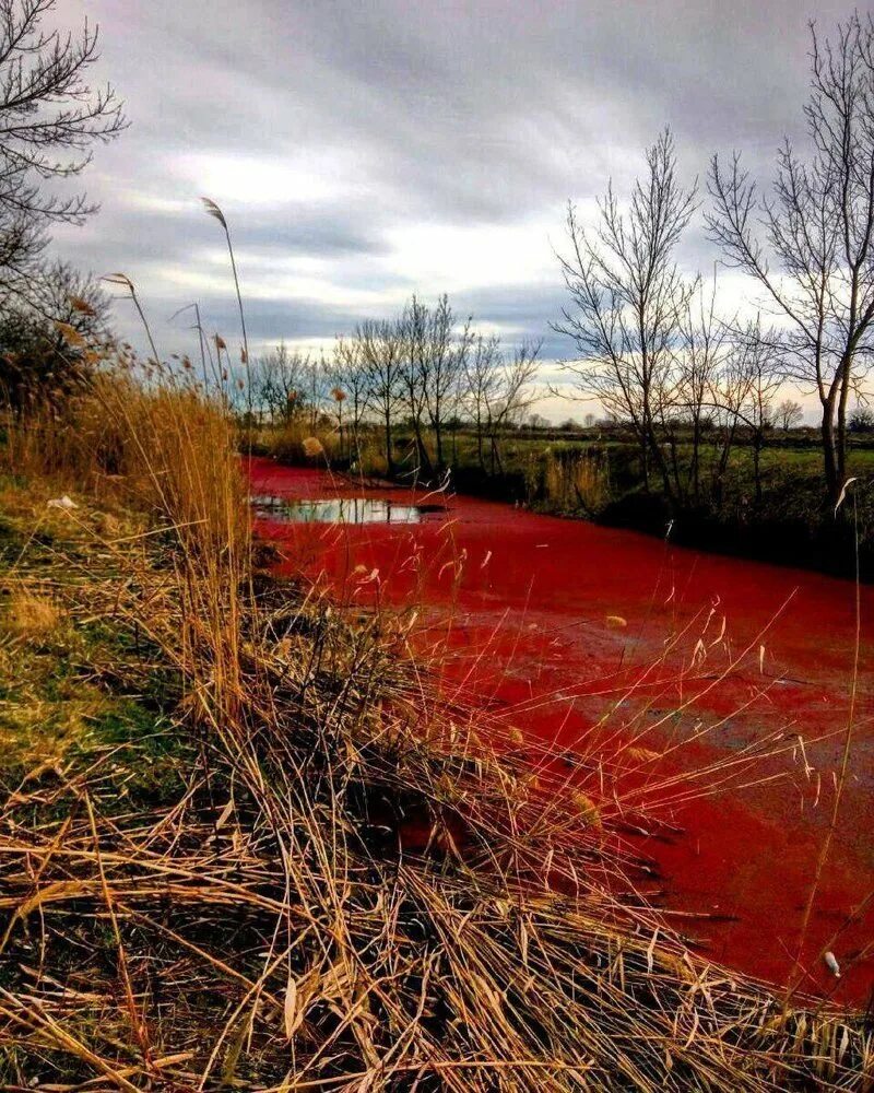 Красная река Далдыкан. Красное озеро. Красный водоем.