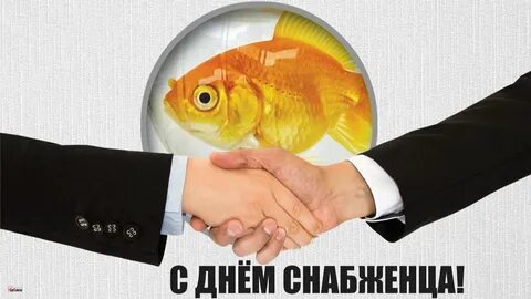 День снабжения