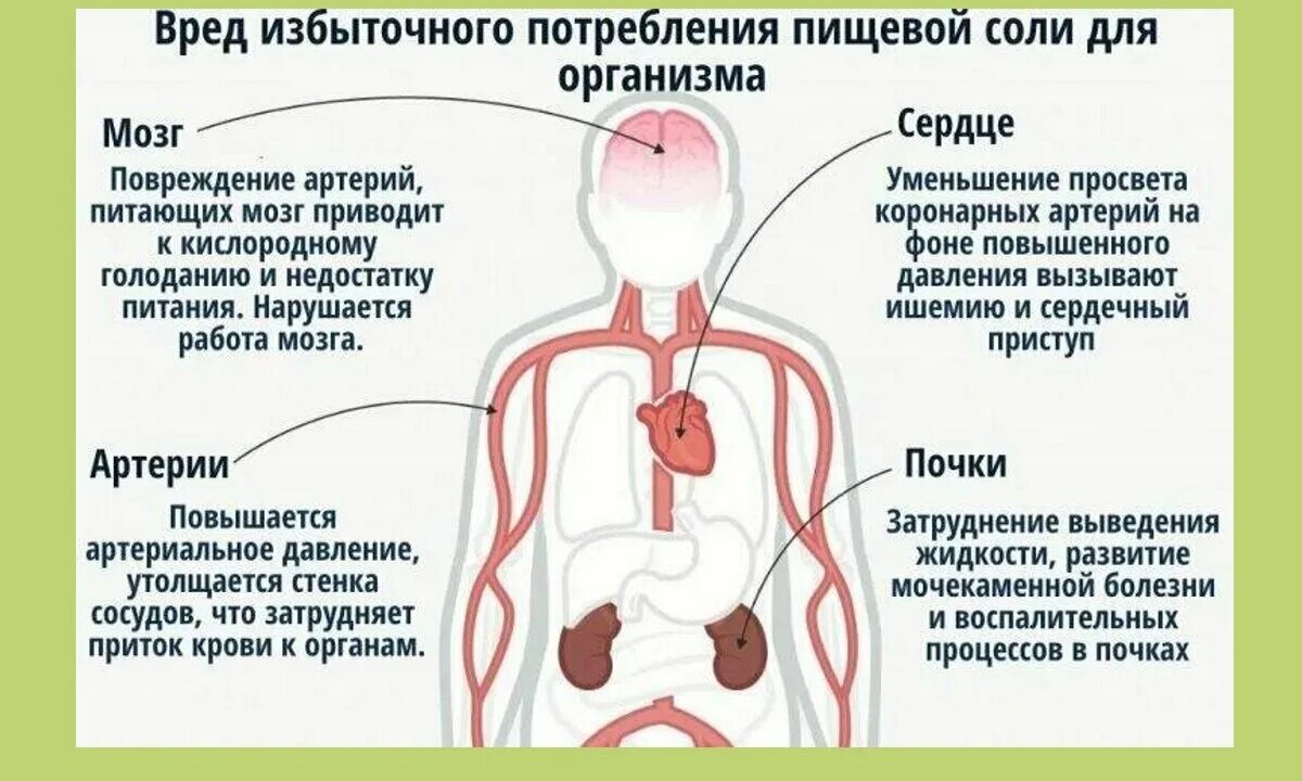 В организме способствует заболеваниям и. Влияние соли на организм человека. Вред соли. Вред соли для организма. Чем вредна соль для организма.