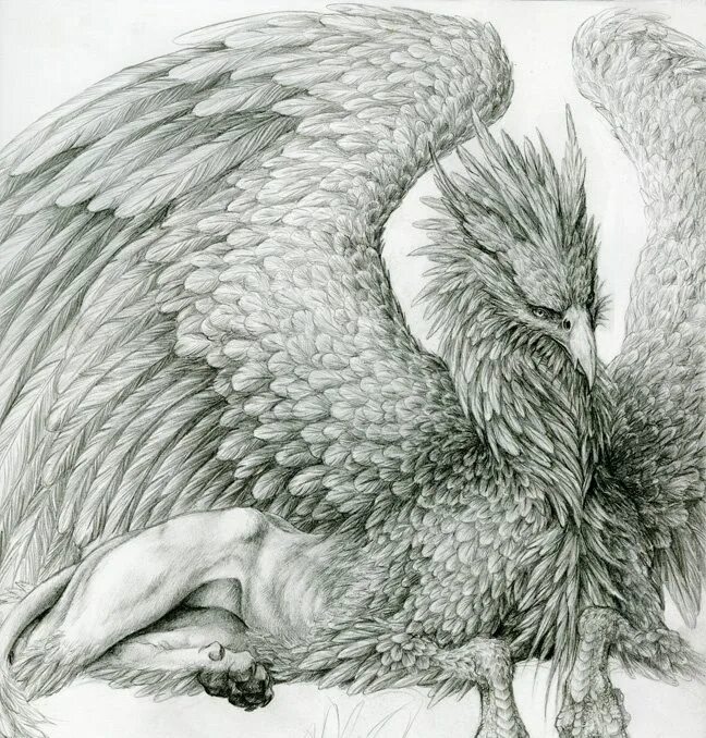 Грифон расписание. Стилизованный грифон. Грифон в славянской мифологии. Грифон тату эскизы. Грифон вектор.