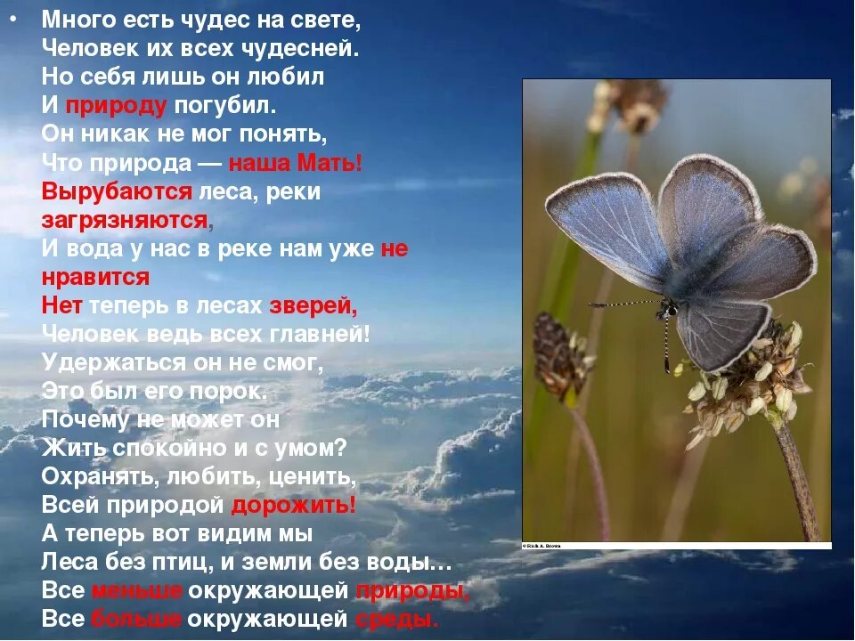 Что такое чудо. Стихи о чудесах природы. Природа и судьбы людей стих. Стих чудо. Стих о чудесах в природе для детей.