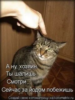 Вася ты что делаешь