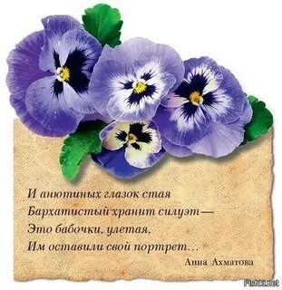 Краткое содержание анюты