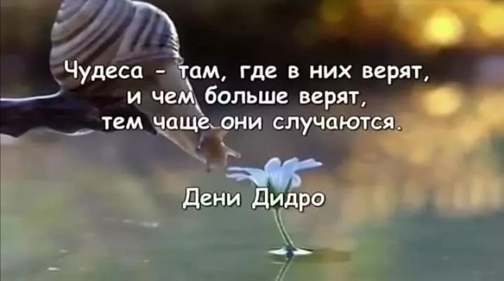 Каждый верит в чудеса. Чудеса случаются каждый день. чудеса там, где в них верят. фразы про чудо короткие. чудо каждого дня.