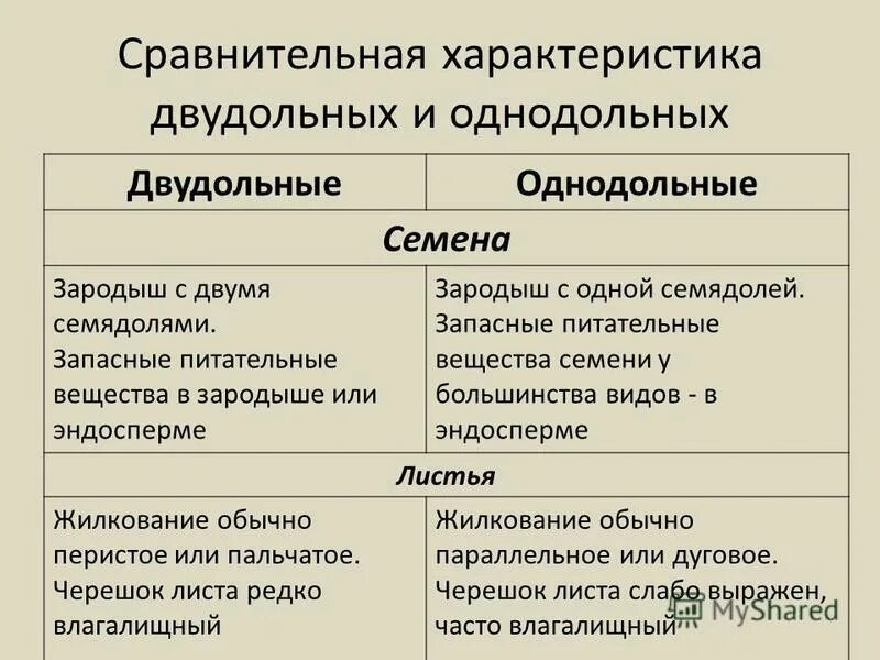 Презентация на тему: "Строение семян однодольных и двудольных растений.". Скачат