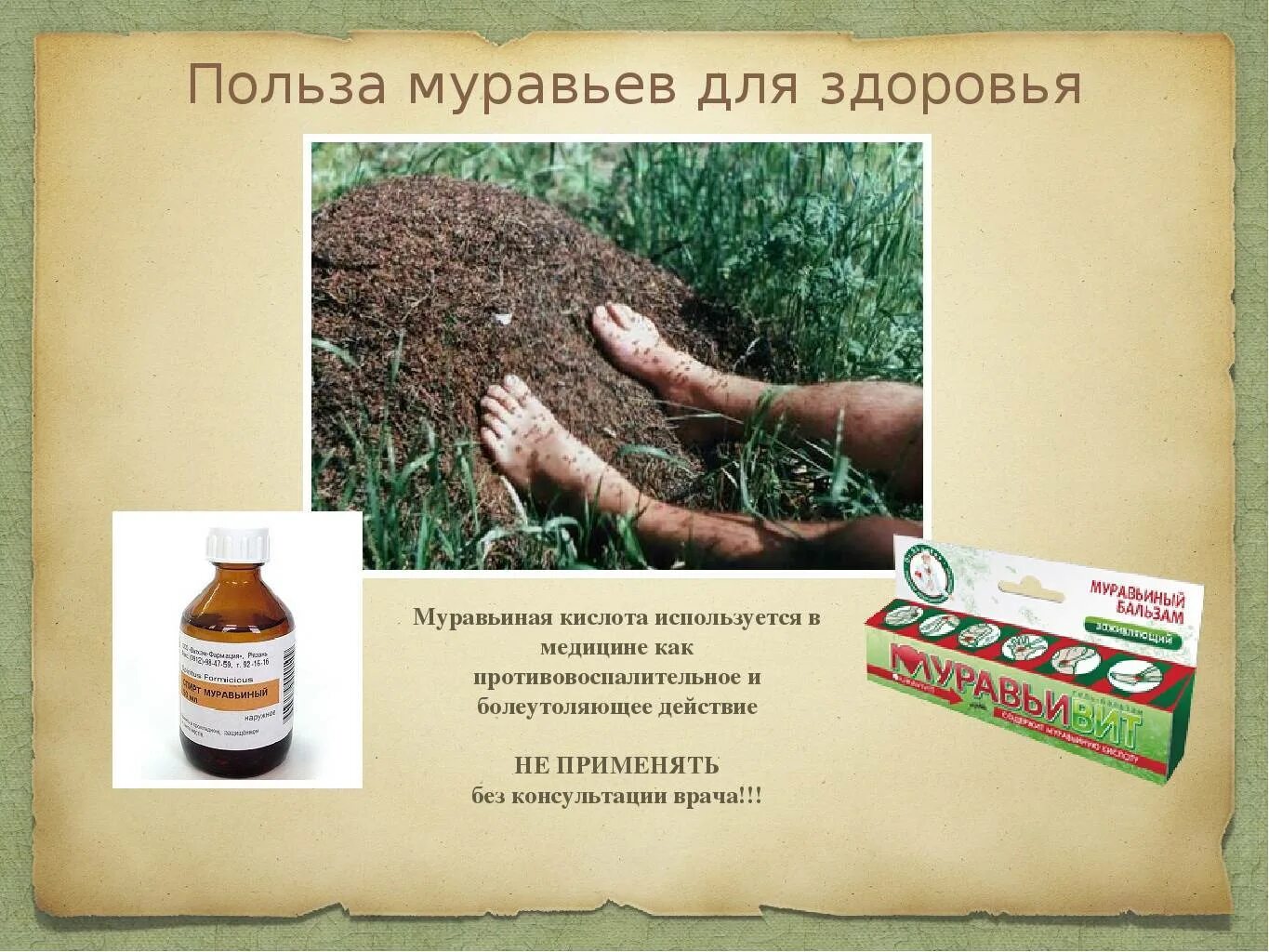 Вредные кислоты для человека. Лимонная кислота польза. Вред кислот. Польза кислота для человека. Польза муравьев для человека.