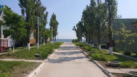 Черноморская коса