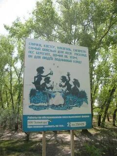 День пляски в проснувшемся лесу картинки