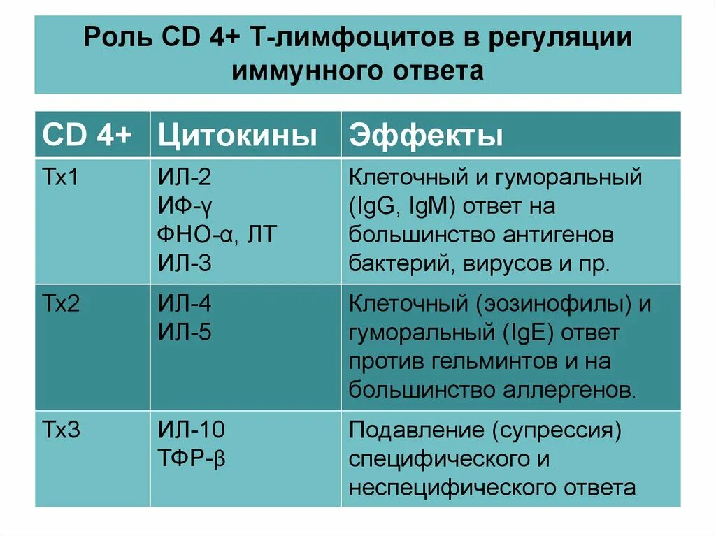 Роль т лимфоцитов в иммунном ответе. Роль лимфоцитов в иммунном ответе. роль цитокинов в иммунных реакциях. роль цитокинов в регуляции иммунного ответа. цитокины гуморального иммунного ответа.