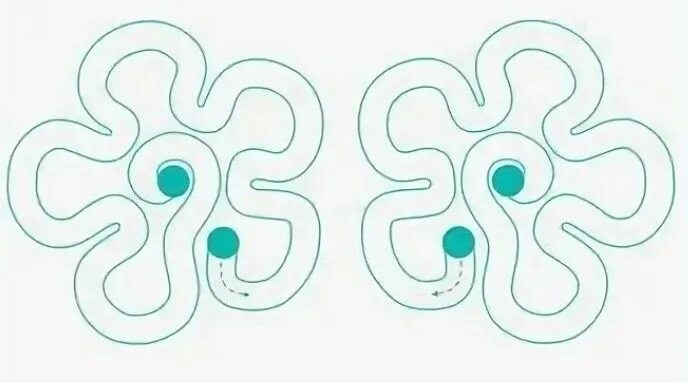 Развиваем внимание с нейропсихологом курдюкова. Нейроигра с руками для детей. Нейроигры для дошкольников распечатать. Нейро упражнения для рук для детей. Необычные задания для детей.