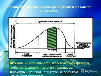 Интенсивность воздействия