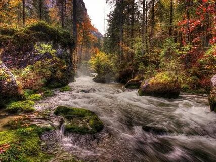 Natural fall