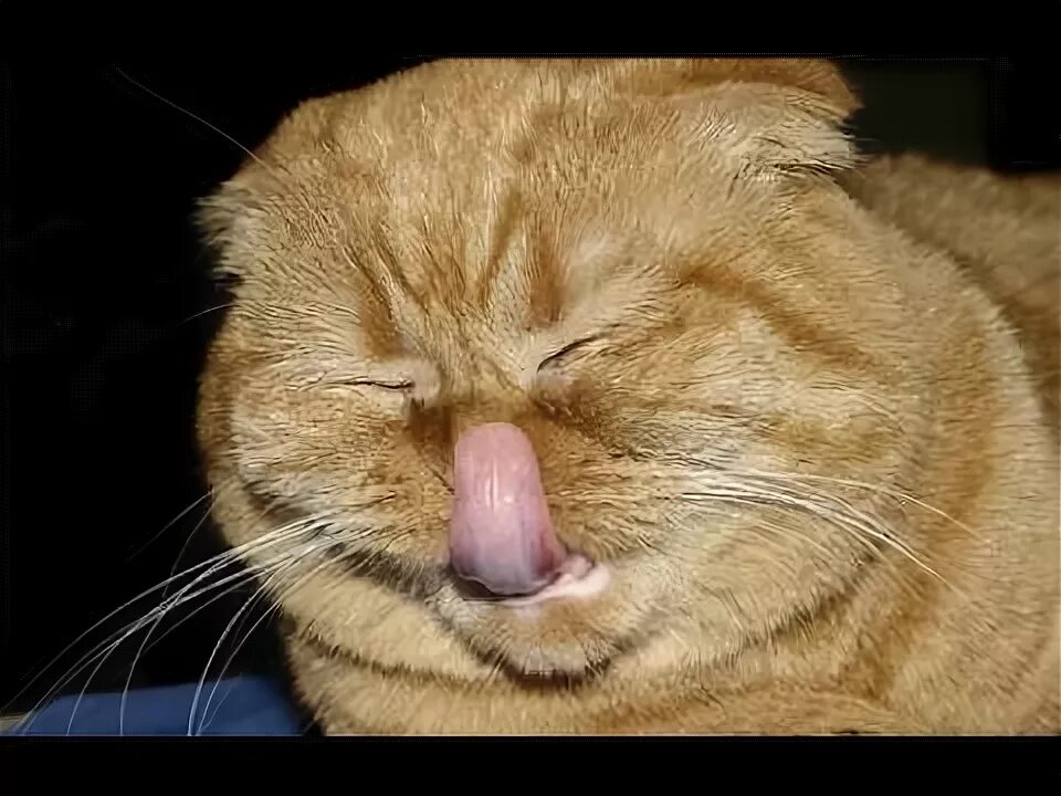 Не смог достать
