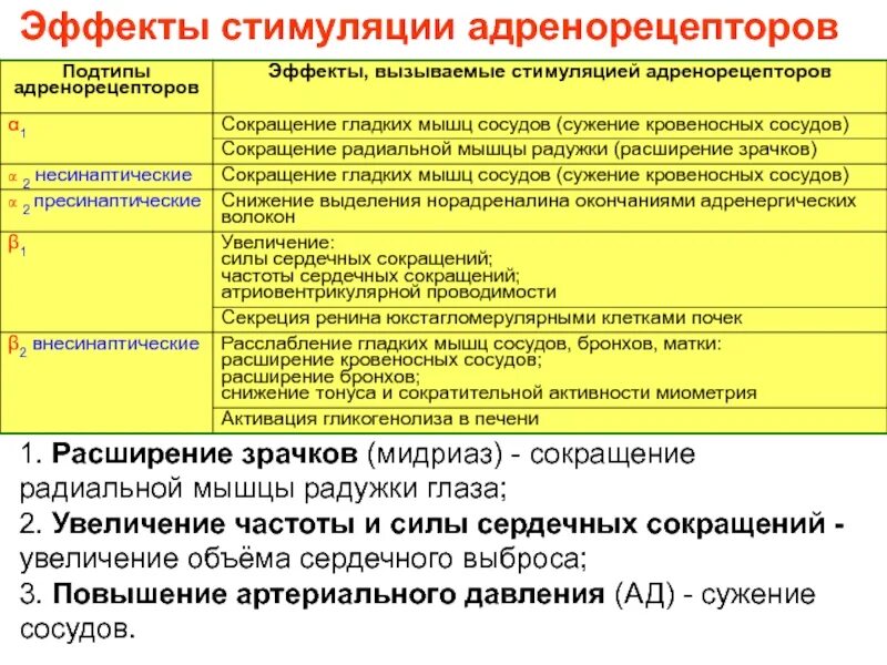 Эффекты альфа адренорецепторов. Эффекты стимуляции адренорецепторов. Эффекты вызываемые стимуляцией адренорецепторов. Эффект стимуляции бета2-адренорецепторов. Эффекты стимуляции Альфа адренорецепторов.