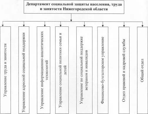 Структура департамента труда и социальной защиты. Департамент социальной защиты населения Нижего. Структура департамента соц защиты схема. Управление по труду и занятости населения Нижегородской области. Социальные учреждения нижегородской области