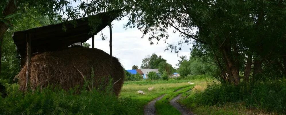 Село змеевка тамбовская область. Змеевка пермский край. Село змеевка тамбовская область. Село змеевка тамбовская область. Змеевка тамбовская область.