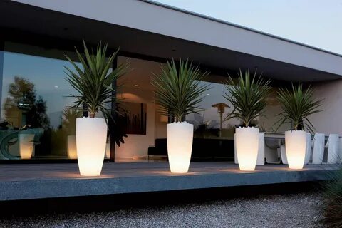 Led plant lights