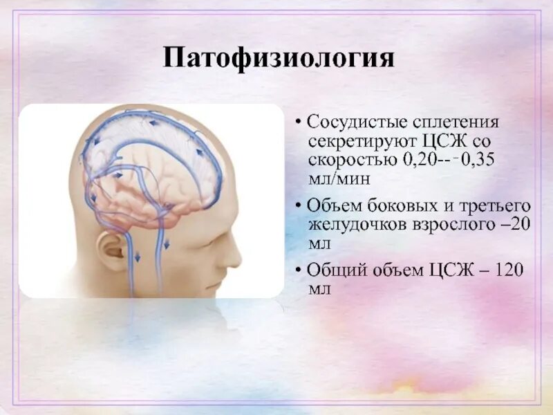 Диета при гидроцефалии мозга. Гидроцефалия классификация этиология. Сосудистое сплетение бокового желудочка. Гидроцефалия презентация. Гидроцефалия патогенез.