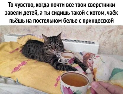 Садись выпьем