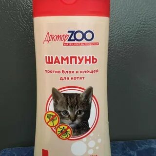 Какой шампунь для котят