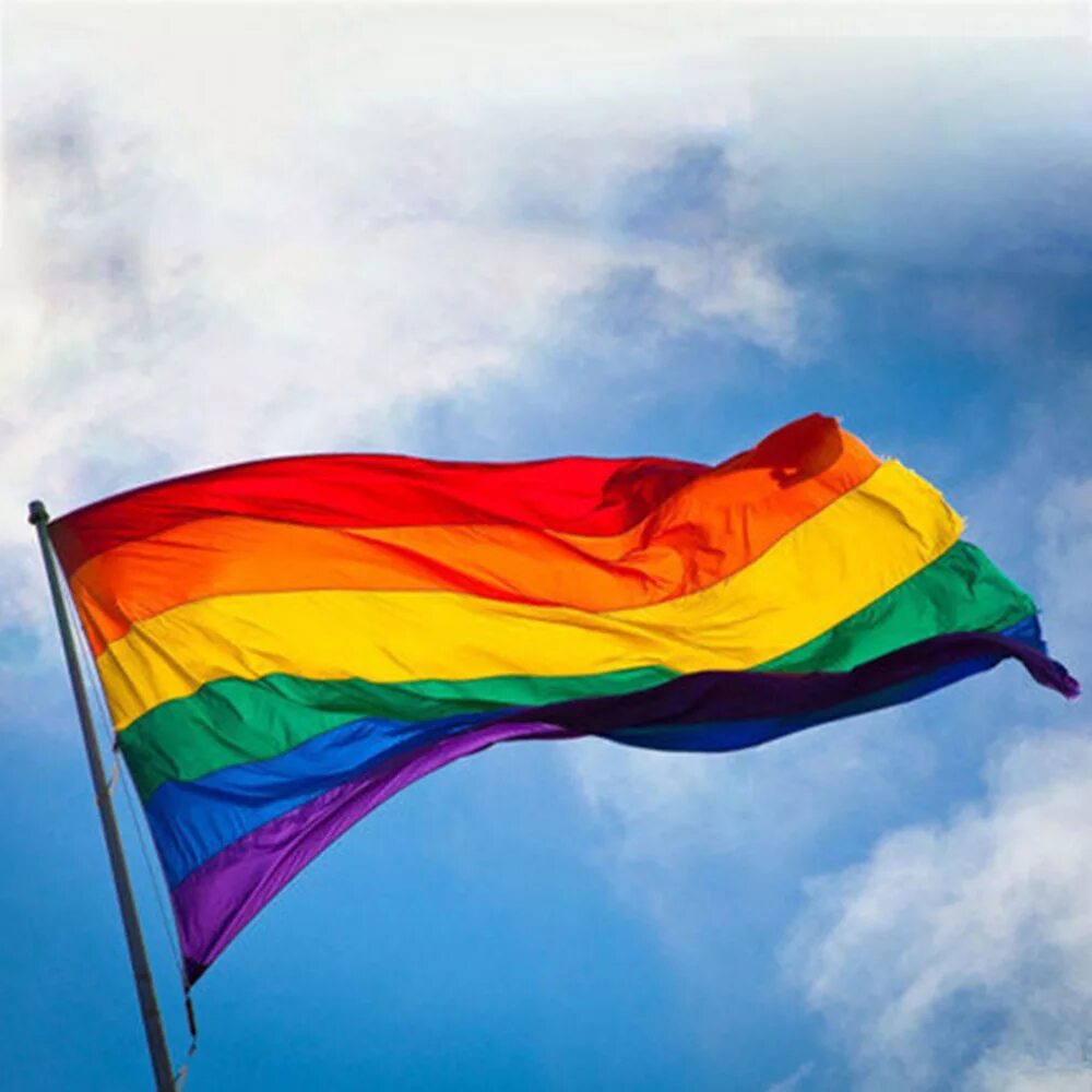 Как называется радужный флаг. Лгбт флаг 510 200. pride флаг. радужный флаг лгбт. белый дом флаг лгбт.
