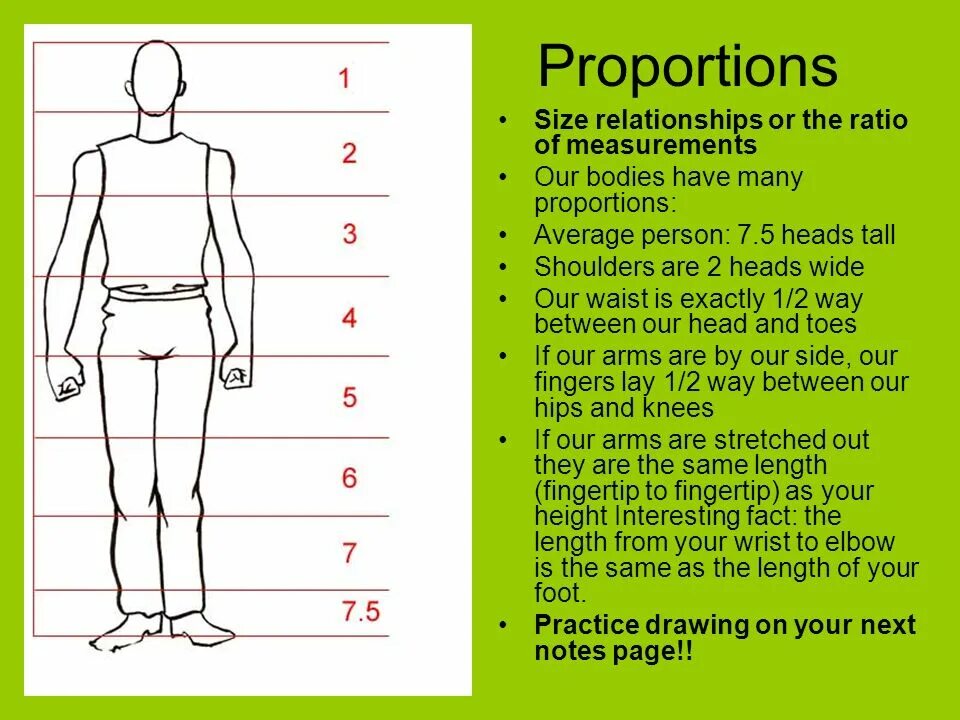 Get things out of proportion. Proportion. human body proportions. proportion meaning. logo proportion size.