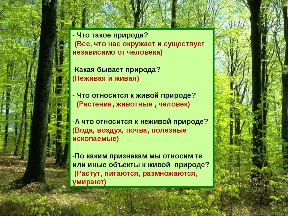 Мир природы определение