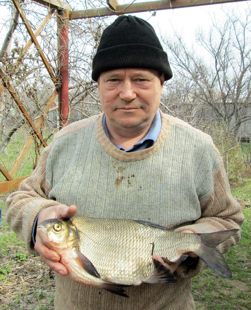 Ловля леща весной с берега. Фото весеннего леща. весенний лещ. сушеная рыба лещ. место ловли леща весной.