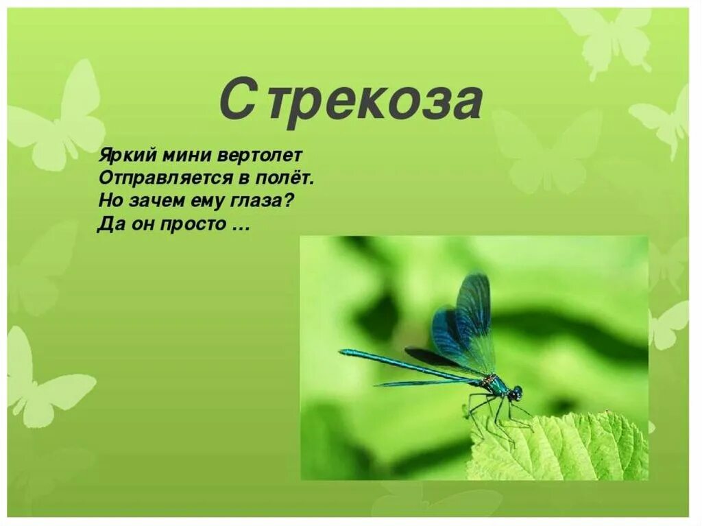 Стал длиннее. Выпускной в начальной школе. Возрастные характеристики детей 4-5 лет по фгос. Картинка дидактические игры в детском саду. Дни стали длиннее.