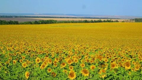 Природа саратовской