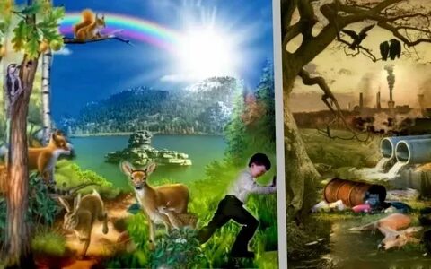 Сүтті жақсы көреді