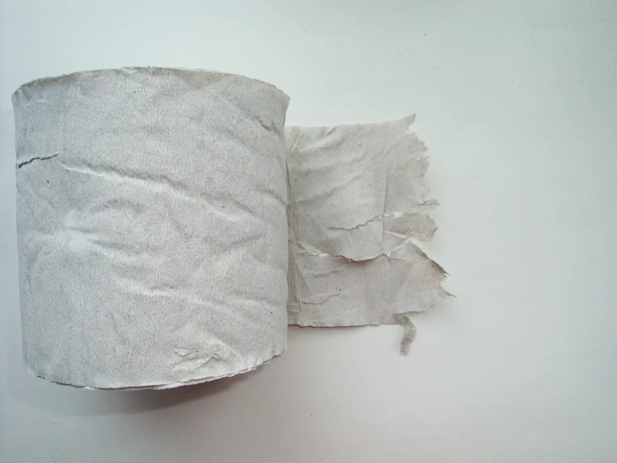 Папье туалетная бумага. Масса папье маше. Папье-маше из туалетной бумаги. Туалетная бумага народная. Туалетная бумага papia 3 secret garden.