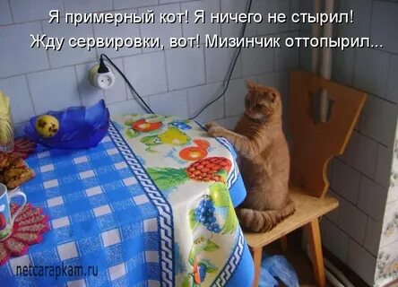 Приходи в гости прикол