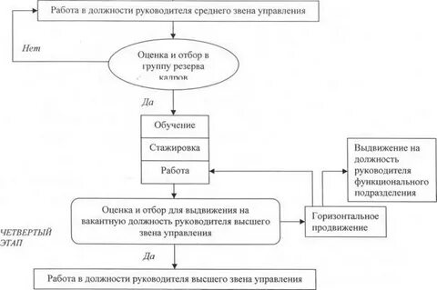 Руководители среднего звена в организации