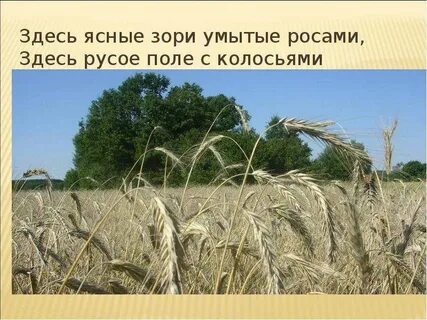 Ясна зоря