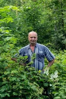 Чеснок иваново