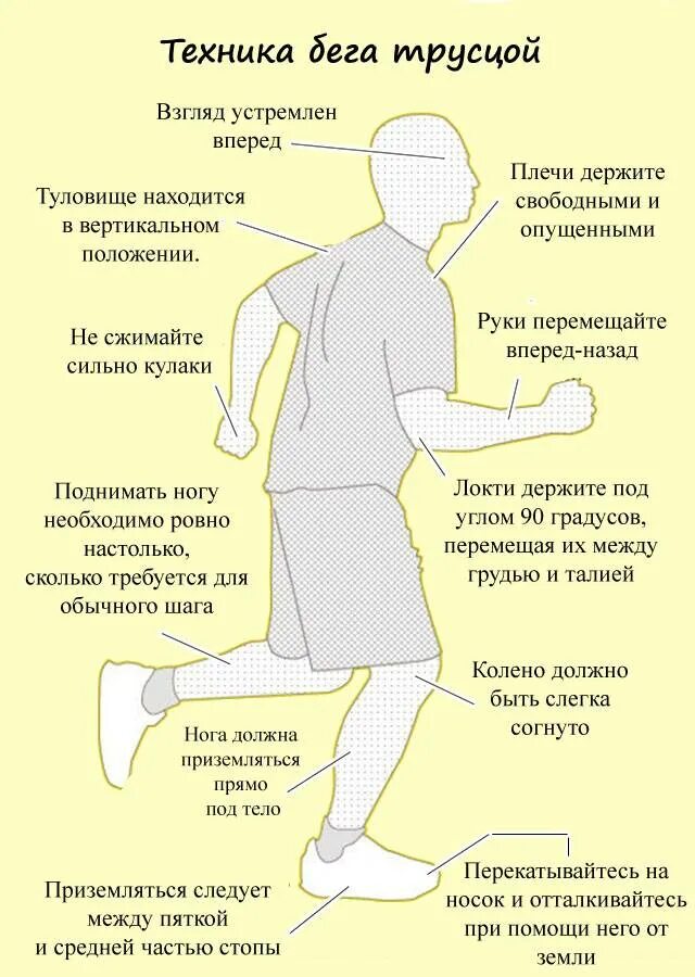 Бег трусцой пульс