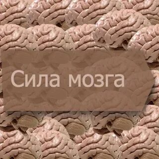 Сила без мозгов