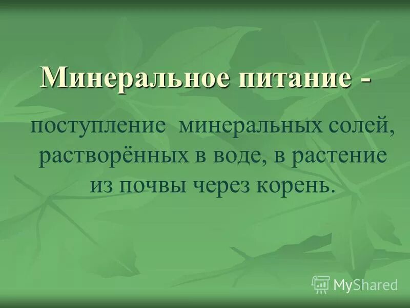 Тест по теме минеральное питание