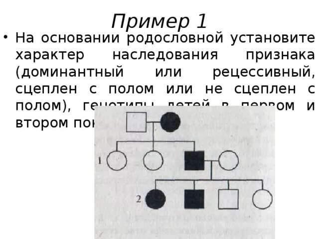 Задачи по генетике родословные сцепленное с полом наследование. Родословная по доминантному,сцепленному с полом признаку. Характер наследования признаков. Схе а родословной сцеплегой с полом.