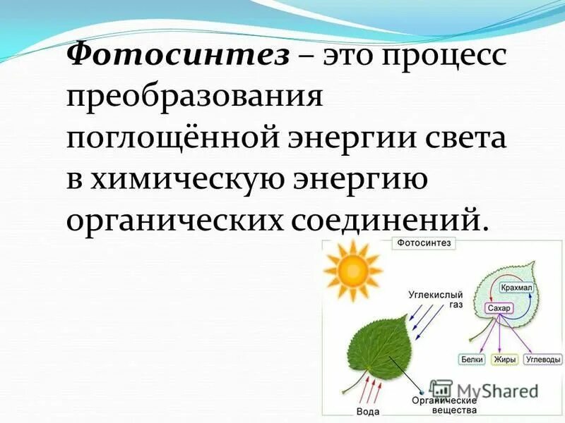 Образование органических веществ при помощи энергии света. Образование органических веществ при помощи энергии света. Схема фотосинтеза 6. Уравнение фотосинтеза. Образование органических веществ при помощи энергии света.