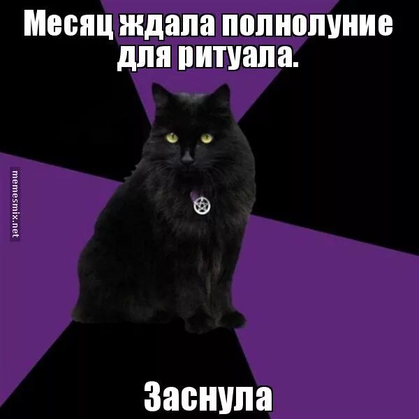 зарплата как месячные ждешь. ждем месячные. задержка 9 дней причины. ждем месячные. ждем месячные.