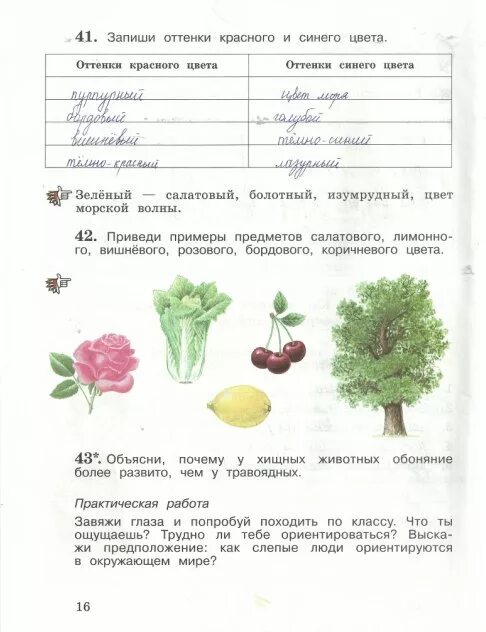 Виноградова рабочая тетрадь по окружающему миру 1 класс две части. Гдз по окружающему 4 класс рабочая тетрадь Виноградова. Рабочие тетради по окружающему миру 3 класс две части Виноградова. Окружающий мир 4 класс Виноградова.