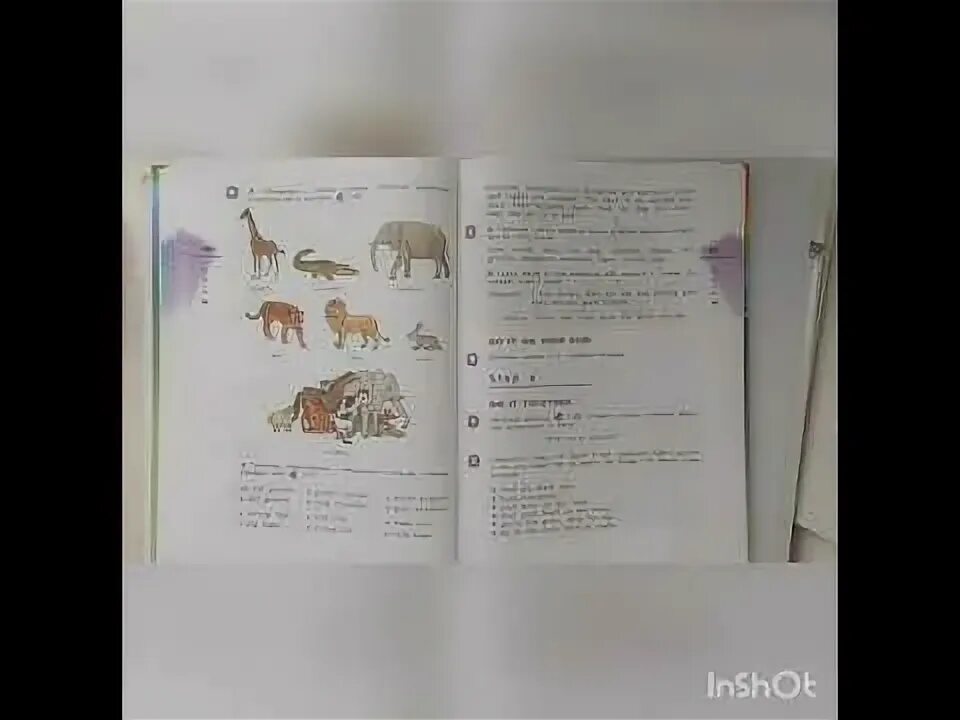 Степ 7 юнит 4 английский 4. Rainbow english 4 класс step 7 unit 5. английский язык афанасьева и михеева степ 7. rainbow english 7 unit 4 step 1 упр. 6. стр 42 упр 3 rainbow english.