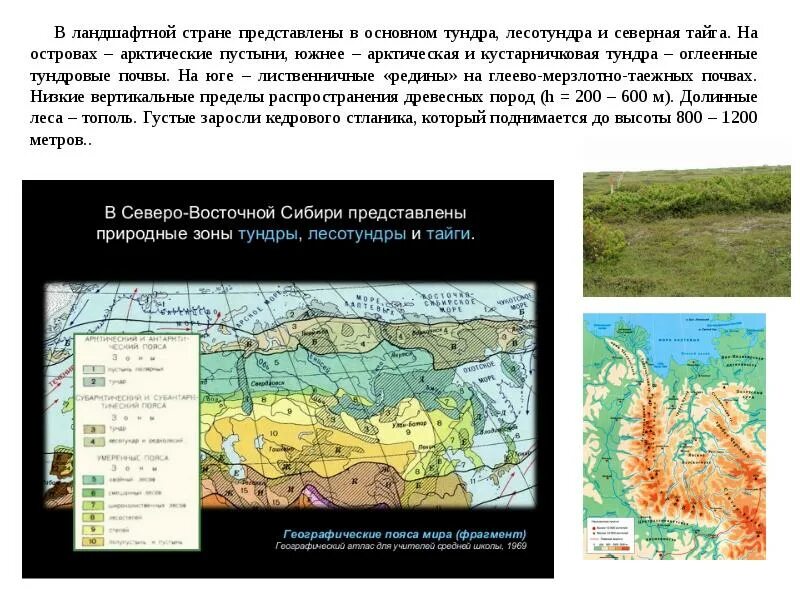 Восточная сибирь какая природная зона. Северо Восточная Сибирь почвы и природные зоны. Северо-Восточная Сибирь описание территории. Северо Восточная Сибирь Арктическая зона. Северо Восточная Сибирь климат и почвы.