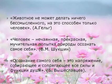 Сайт ничего