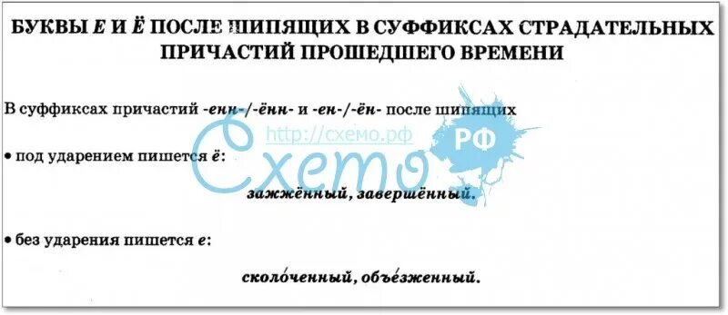 Ё после шипящих в суффиксах страдательных причастий. Буква ё после шипящих в суффиксах страдательных причастий. Буква у после шипящих в суффиксах страдательных причастий. Е Ё В суффиксах страдательных причастий прошедшего времени. О е в суффиксах причастий